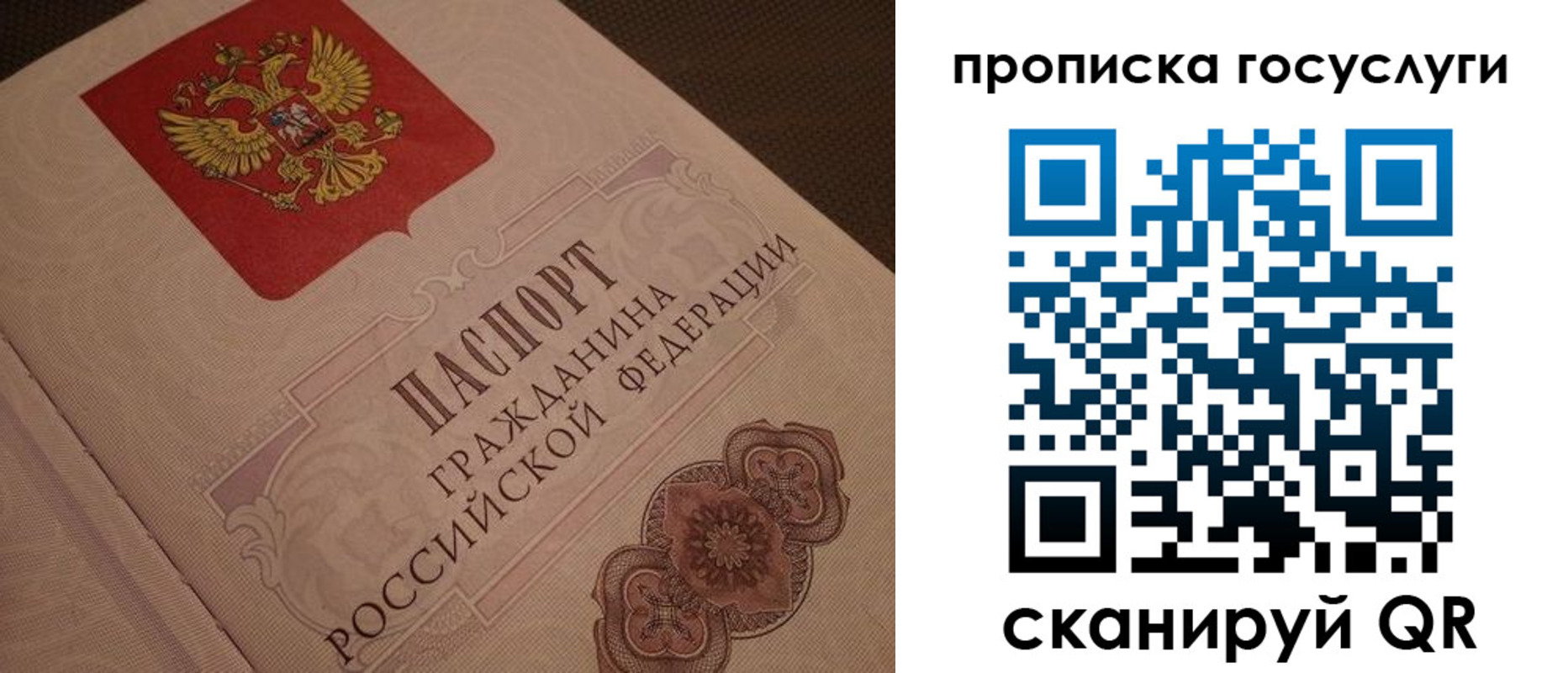 прописка для работы в Опочке