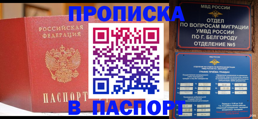 временная регистрация в квартире в Опочке